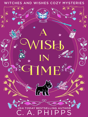cover image of A Wish in Time